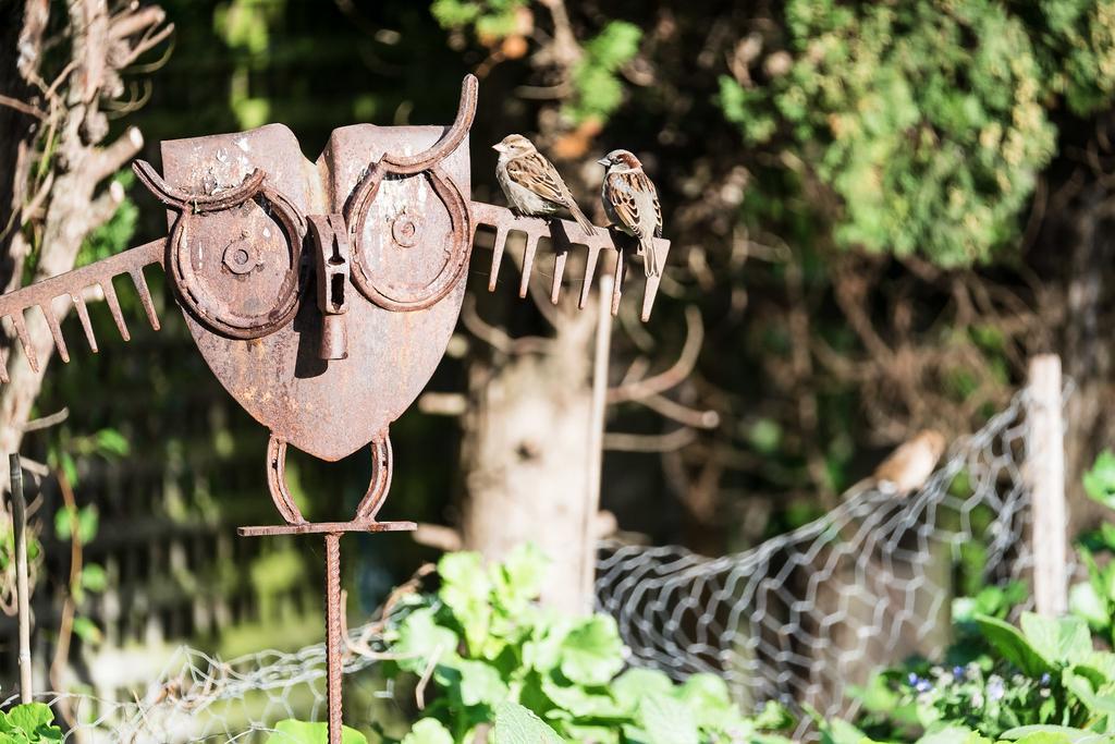 Merrijig Inn Port Fairy Zewnętrze zdjęcie