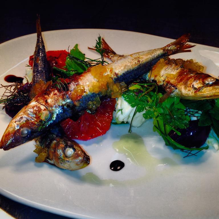 Merrijig Inn Port Fairy Zewnętrze zdjęcie